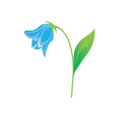 Beyaz arka planda güzel çan çiçekleri