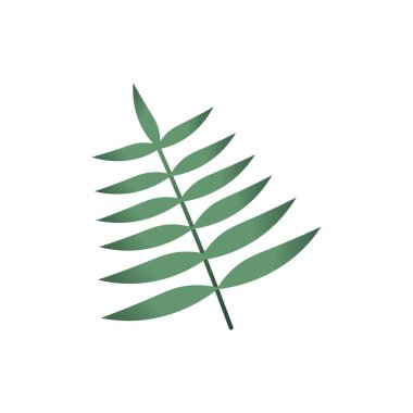 beyaz zemin üzerine yeşil yaprakları ile şube