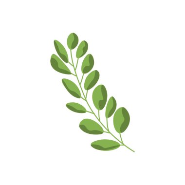 beyaz zemin üzerine yeşil dal