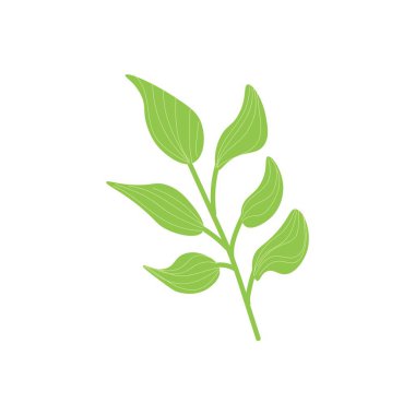 beyaz zemin üzerine yeşil dal