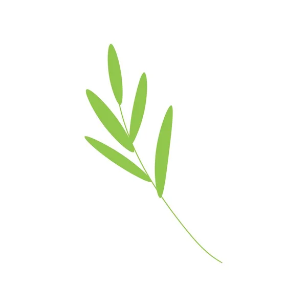 白い背景の上の緑の枝 — ストックベクタ