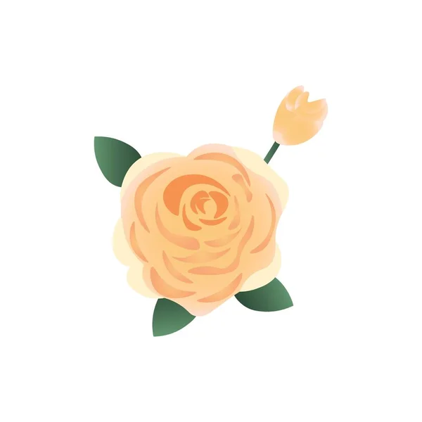 Красивый Цветок Розы Бутон Белом Фоне — стоковый вектор