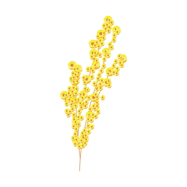 Beautiful Mimosa Branches White Background — Stock Vector