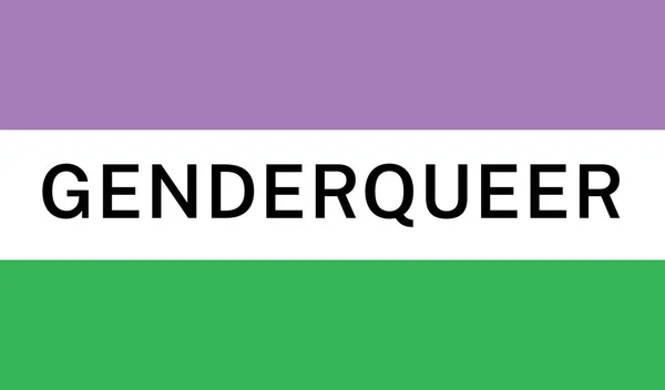 Vista Bandera Internacional Del Orgullo Genderqueer — Vector de stock