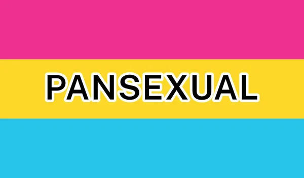Pohled Mezinárodní Pansexual Pride Flag — Stockový vektor