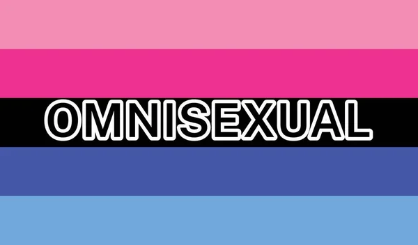 Vista Bandera Internacional Del Orgullo Omnisexual — Vector de stock