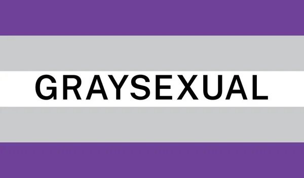 Vista Bandera Internacional Del Orgullo Graysexual — Vector de stock