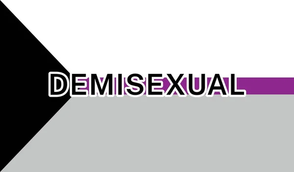 Vista Bandera Internacional Del Orgullo Demisexual — Vector de stock