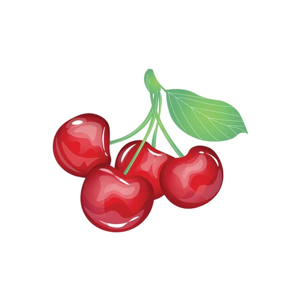 白色背景上的甜成熟樱桃 — 图库矢量图片