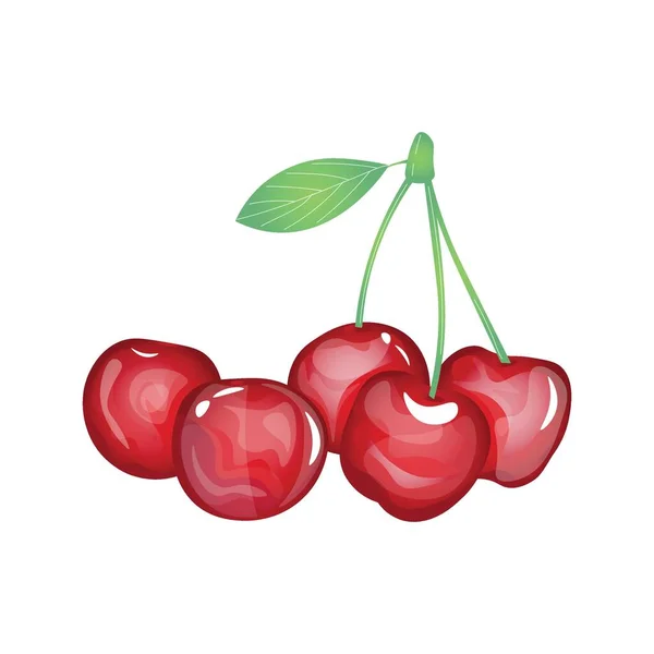 Sweet Ripe Cherries White Background — Stock Vector