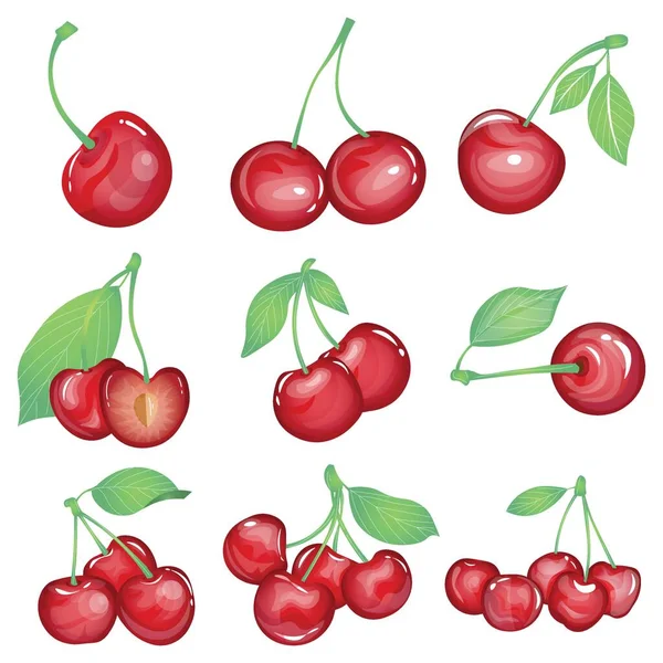 Set Tasty Cherries White Background — Stock Vector