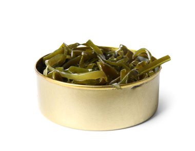 Açılmış teneke kutu beyaz arka planda yosun izole edilmiş.