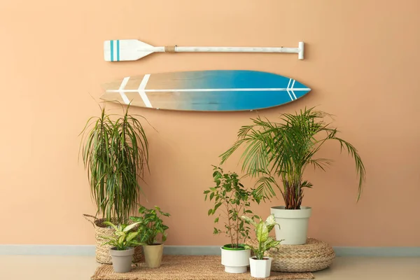 Houseplants Surfboard Paddle Hanging Beige Wall Room — Stock Photo, Image