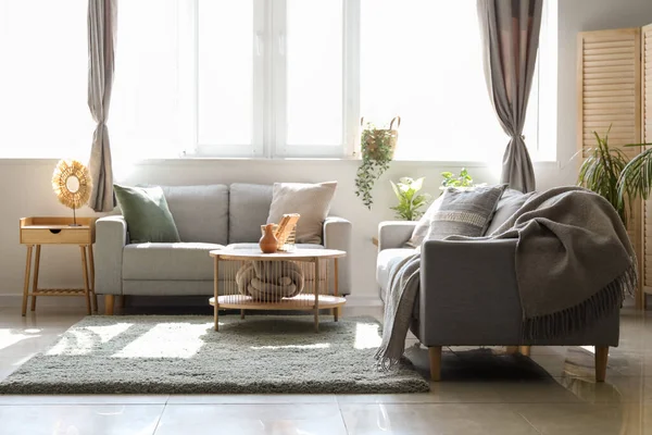 Interior Ruang Tamu Cahaya Dengan Sofa Tanaman Rumah Tangga Dan — Stok Foto