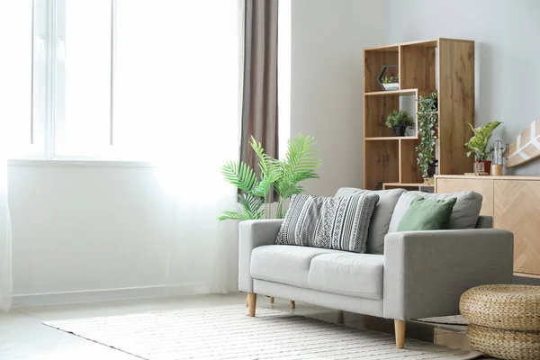 Interior Light Living Room Sofa Shelving Unit Houseplants — Stock Photo, Image