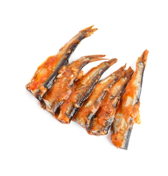 Fischkonserven Tomatensauce Isoliert Auf Weißem Hintergrund — Stockfoto