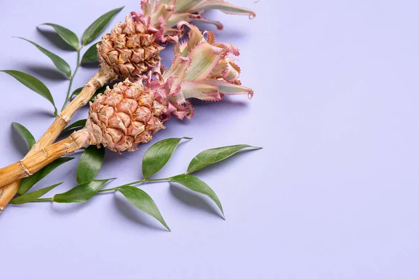 Decorative Pineapples Plant Branches Lilac Background — Stock Photo, Image