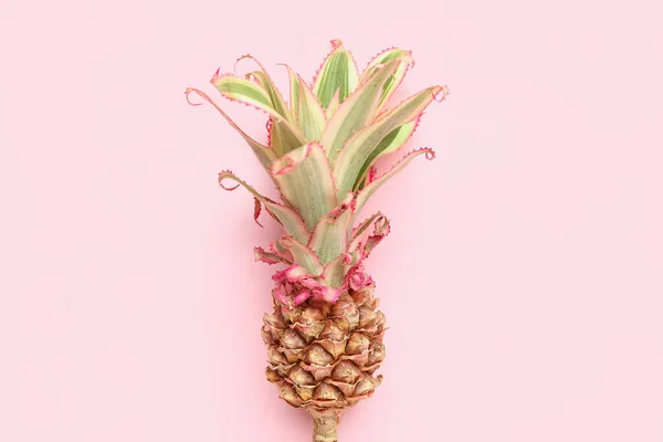 Decorative pineapple on pink background
