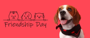 Sevimli Beagle köpeğiyle Dostluk Günü Sancağı