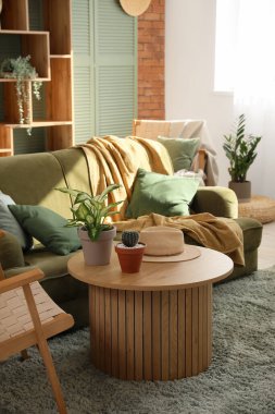 Kahve masası, ev bitkisi, kaktüs ve şık oturma odasındaki kanepenin yanında şapka.