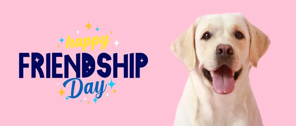 Şirin Labrador Köpeğiyle Dostluk Günü Sancağı — Stok fotoğraf