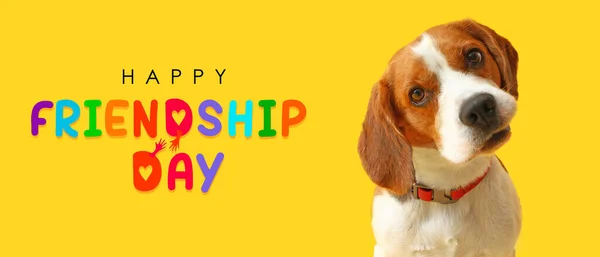 Sevimli Beagle Köpeğiyle Dostluk Günü Sancağı — Stok fotoğraf