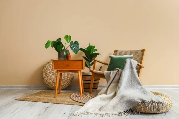 Hangulatos Fotel Párnával Kockás Szobanövényekkel Asztallal Bézs Fal Mellett — Stock Fotó