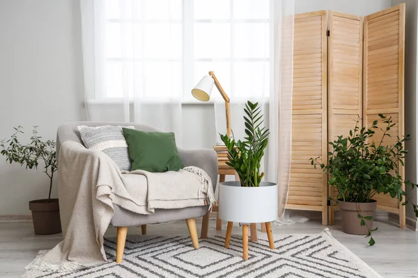 Grey Armchair Cushions Lamp Houseplant Interior Bright Living Room — Stock Photo, Image