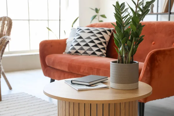 Coffee table with houseplant, book and magazine in modern living room