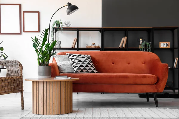 茶几上有舒适的沙发和室内盆栽的现代客厅室内 — 图库照片