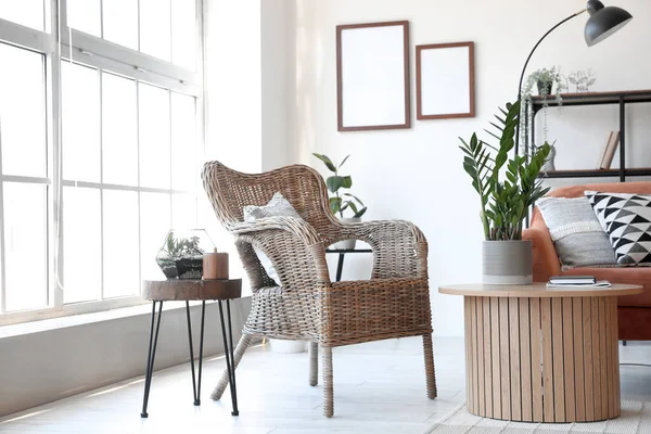 Interior Modern Living Room Cozy Armchair Houseplant Coffee Table — Stock Photo, Image