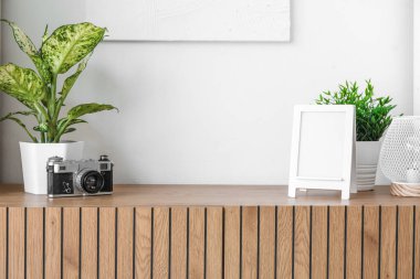 Ahşap dolap, fotoğraf makinesi, boş çerçeve ve beyaz duvarın yanında bitkiler.