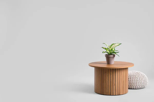 グレーの背景に観葉植物とPoufと木製コーヒーテーブル — ストック写真