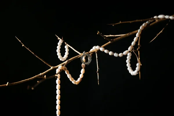 Tree Branch Pearl Jewelry Black Background — Stock Photo, Image