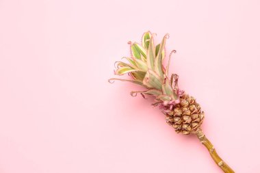 Pembe arka planda dekoratif ananas