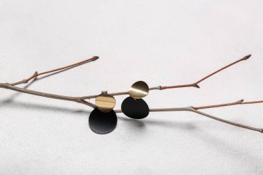 Beyaz arka planda şık küpeleri olan ağaç dalları, yakın plan.