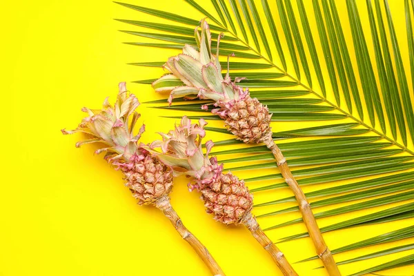 Dekorative Ananas Mit Palmblatt Auf Gelbem Hintergrund — Stockfoto