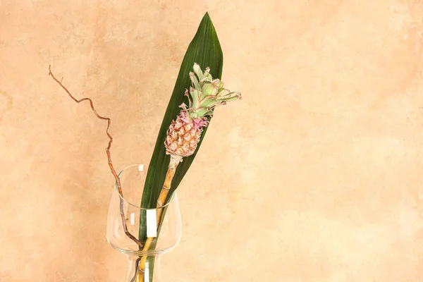 带有装饰菠萝 棕榈叶和树干分枝的藤蔓 — 图库照片