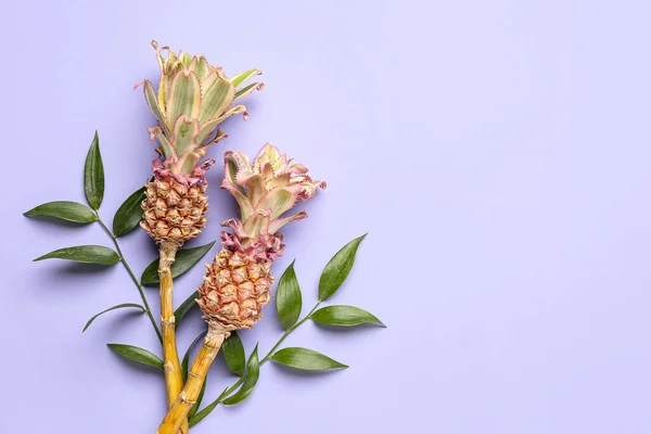 Decorative Pineapples Plant Branches Lilac Background — Stock Photo, Image