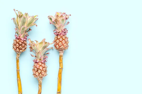 stock image Decorative pineapples on blue background