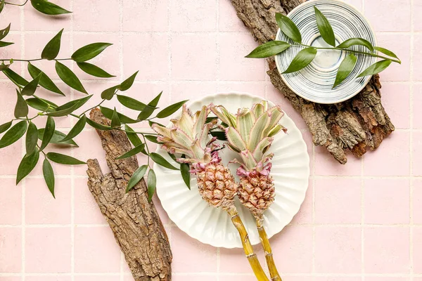 Plates Decorative Pineapples Plant Branches Tree Barks Pink Tile Background — Stock Photo, Image