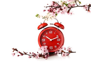 Blooming spring branches and alarm clock on white background