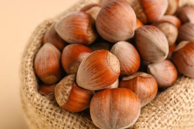 Bej arka planda kabuklu fındıklı çuval.