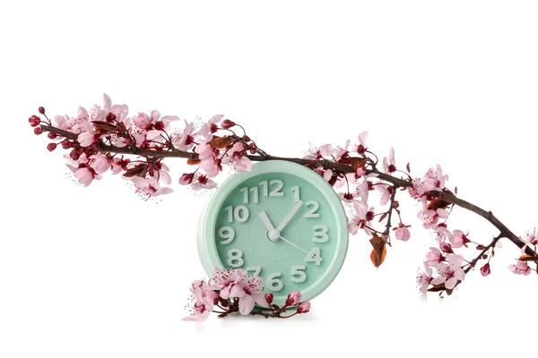 Floração Ramos Primavera Relógio Fundo Branco — Fotografia de Stock