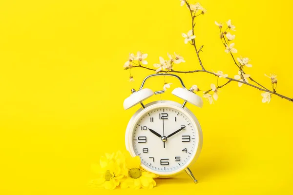 Квітучі Весняні Гілки Хризантемами Білим Будильником Жовтому Тлі — стокове фото