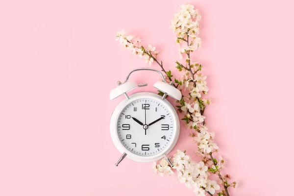 Blühende Frühlingszweige Und Weißer Wecker Auf Rosa Hintergrund — Stockfoto
