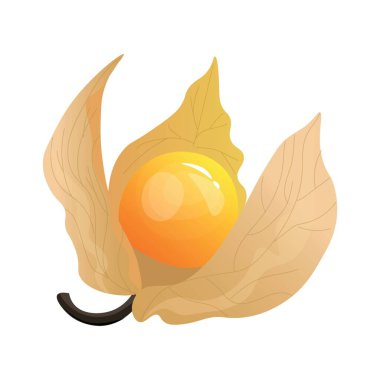 Beyaz arka planda egzotik bektaşi üzümü pelerini