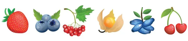 Set Frutti Gustosi Bacche Sfondo Bianco — Vettoriale Stock