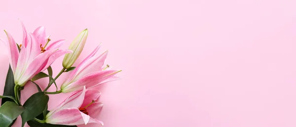 粉色背景上美丽的百合花 有文字空间 — 图库照片