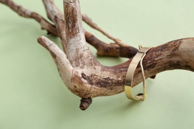 Yeşil arka planda altın bileziği olan ağaç dalları, yakın plan